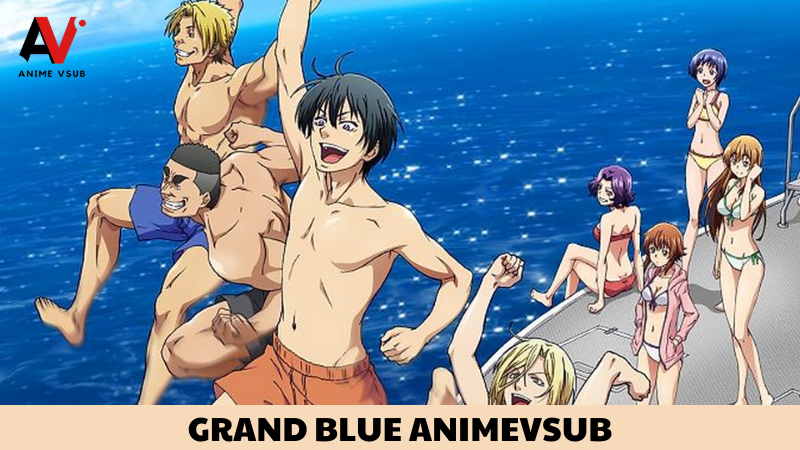 grand blue animevsub